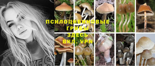 дурь Алзамай