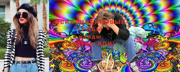 ALPHA-PVP Алексеевка
