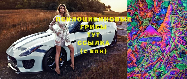 дурь Алзамай