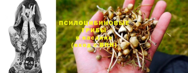 дурь Алзамай